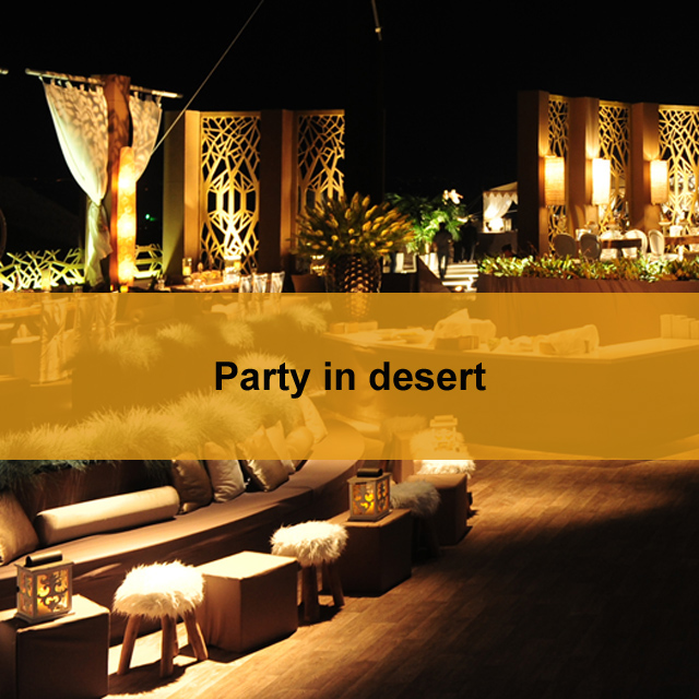 Party in desert